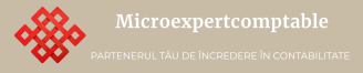 microexpertcomptable (3)
