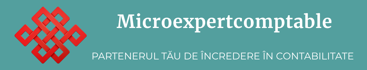 microexpertcomptable